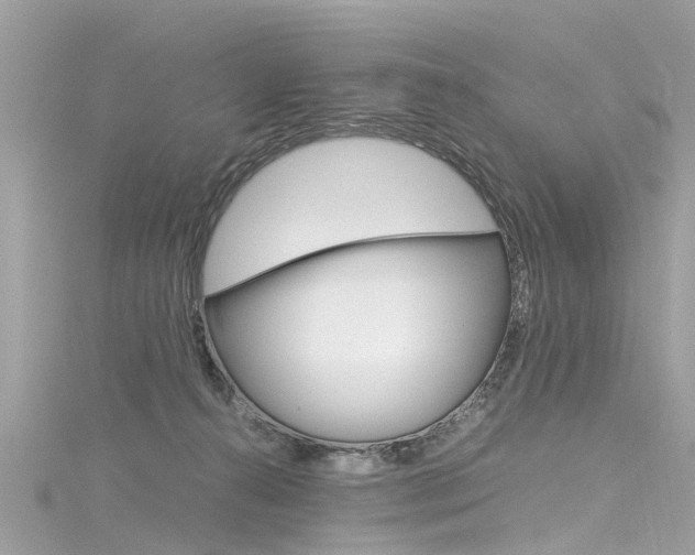 X0000116330272200912011011