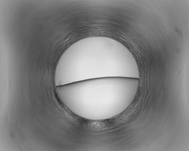 X0000116330277200912011011