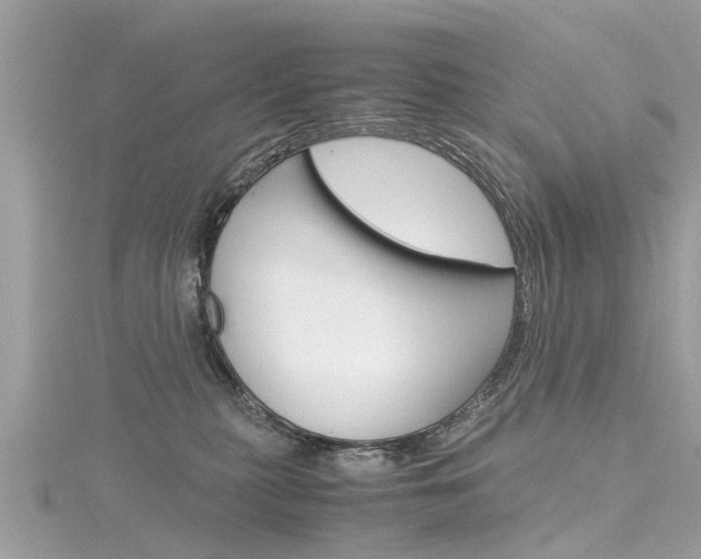X0000116330279200912011011