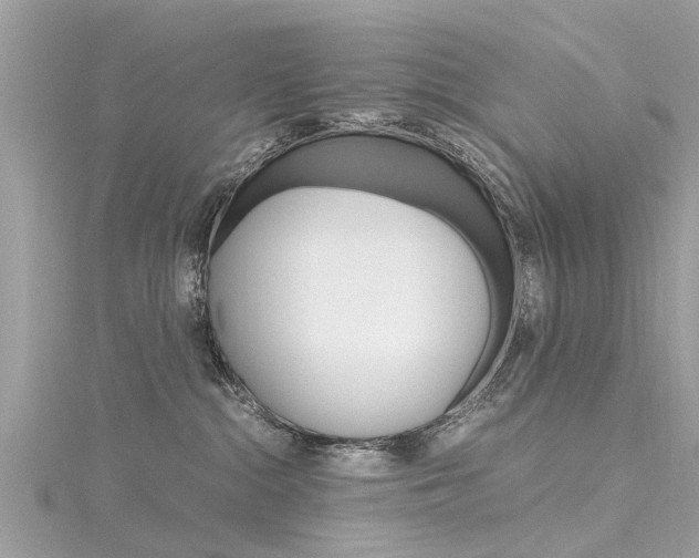 X0000116330284200912011011