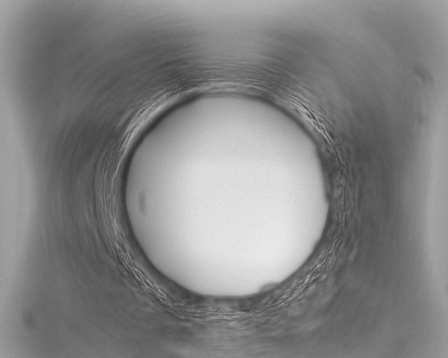 X0000116330289200912011011