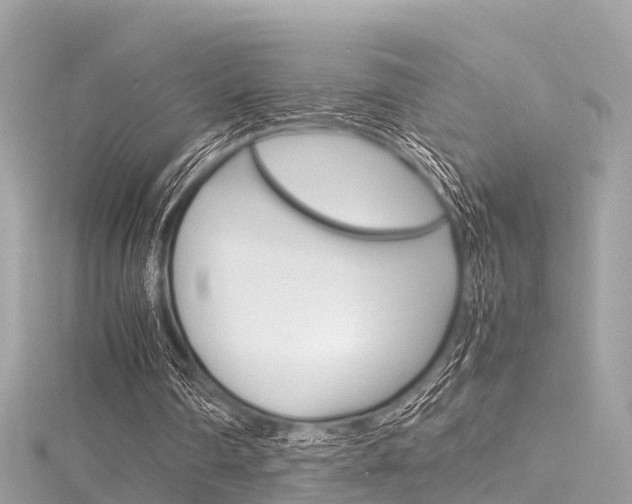 X0000116330290200912011011