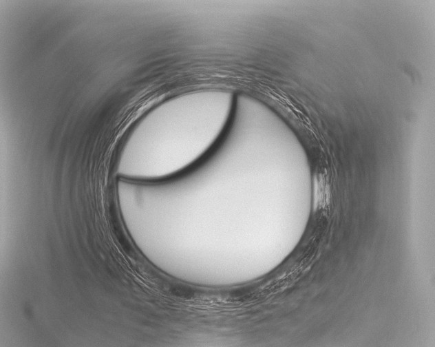 X0000116330291200912011010