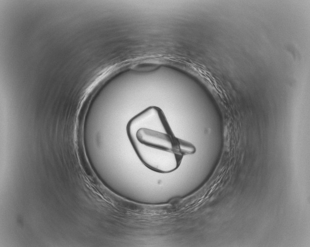 X0000116330292200912011010