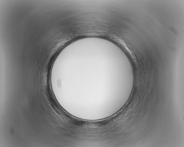X0000116330299200912011010