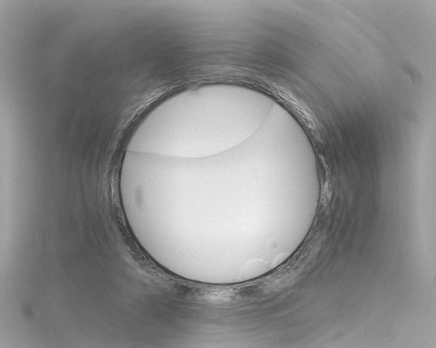 X0000116330306200912011010