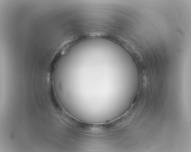 X0000116330308200912011010