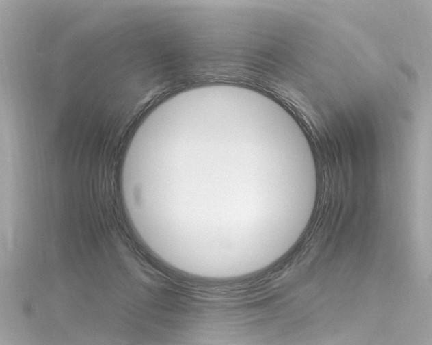 X0000116330312200912011010