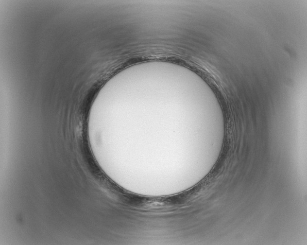 X0000116330315200912011010