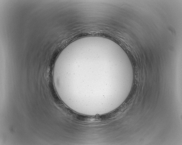 X0000116330319200912011010