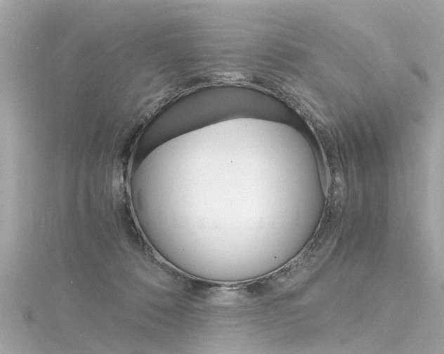 X0000116330320200912011010