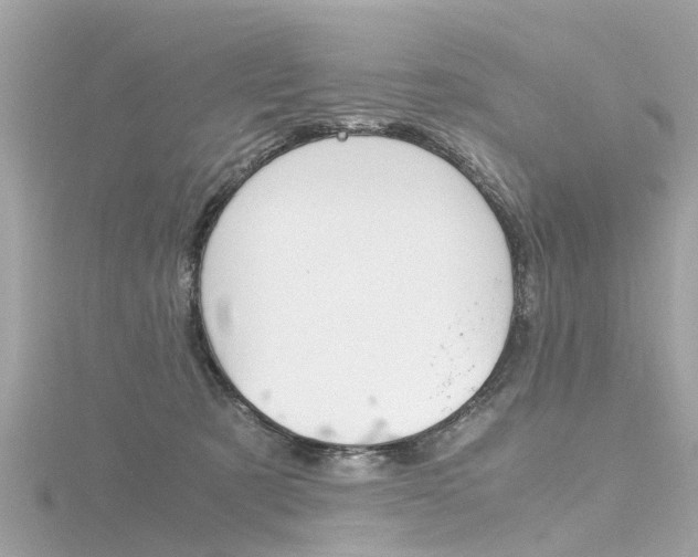 X0000116330321200912011010