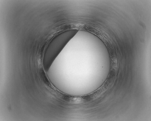X0000116330324200912011010