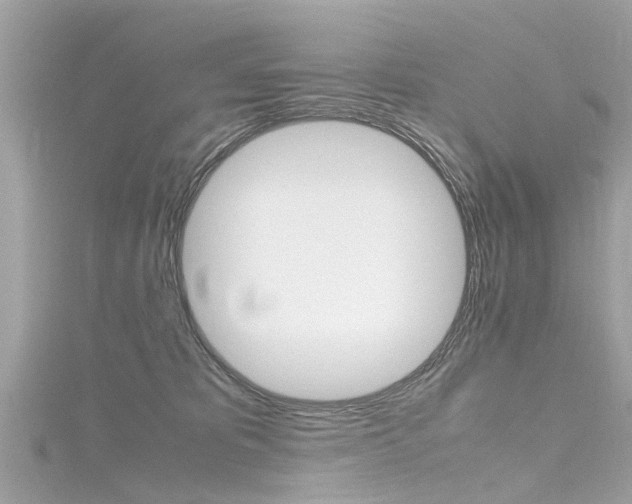 X0000116330325200912011010