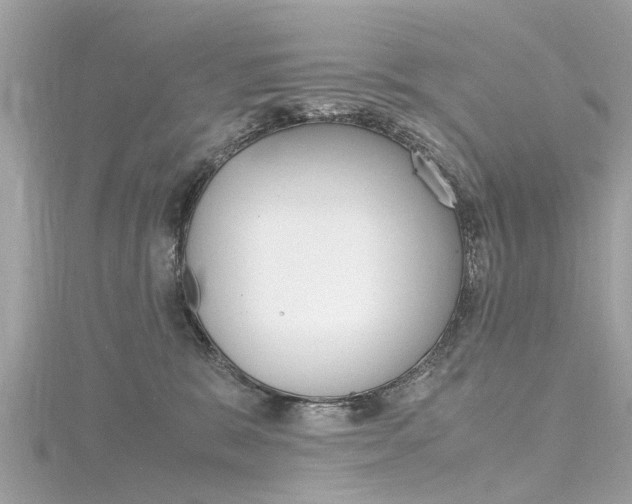 X0000116330327200912011010