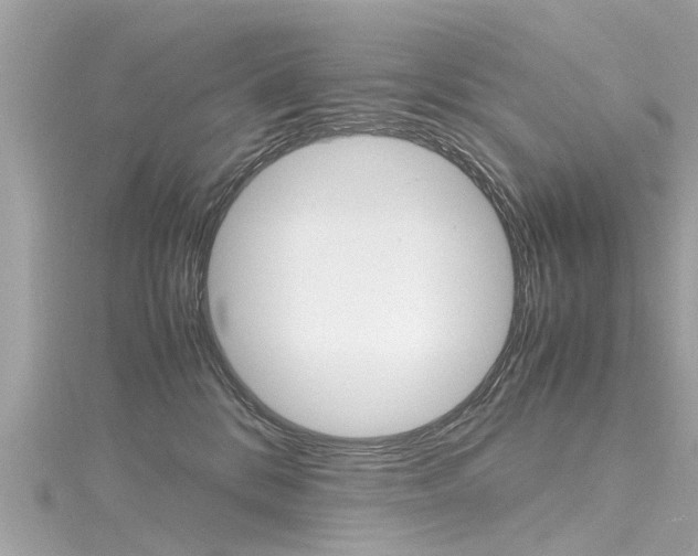 X0000116330328200912011010