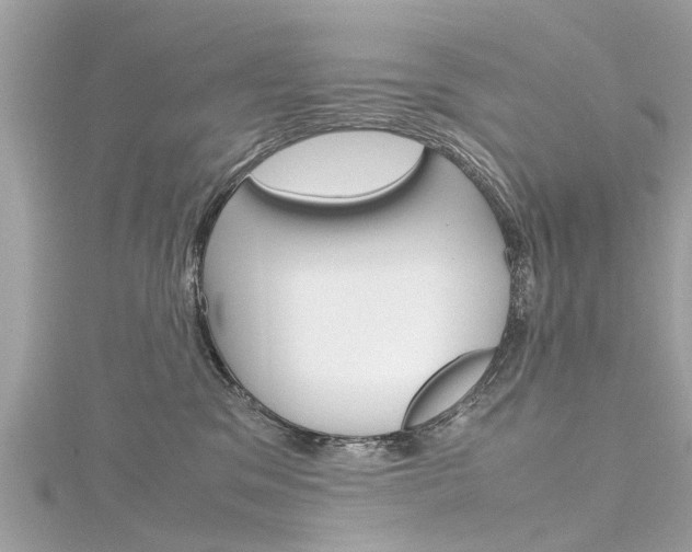 X0000116330329200912011010
