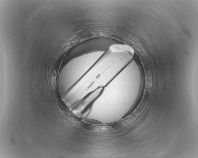 X0000116330332200912011010