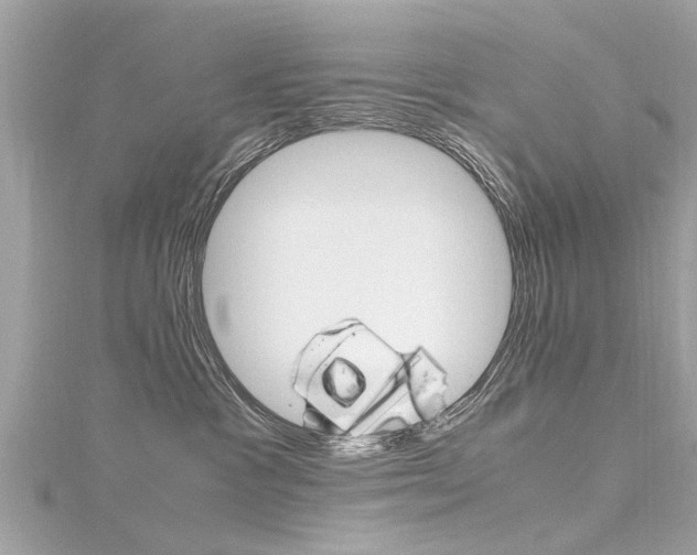 X0000116330333200912011010