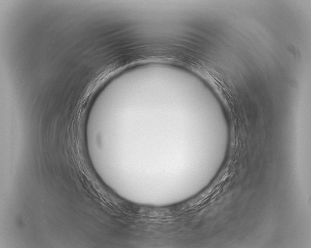 X0000116330337200912011009