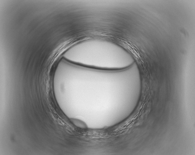 X0000116330338200912011009