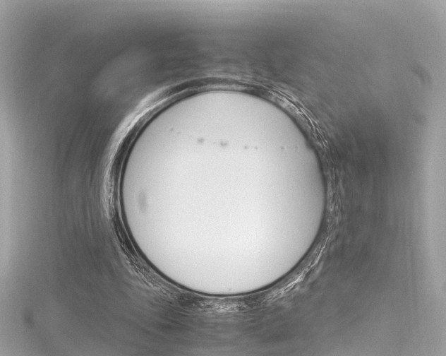 X0000116330343200912011009