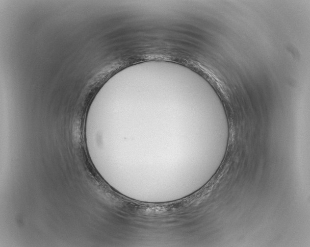 X0000116330353200912011010