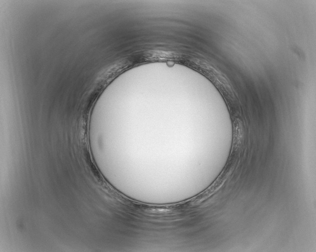 X0000116330361200912011010