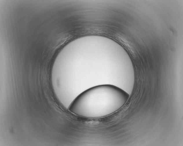 X0000116330362200912011010