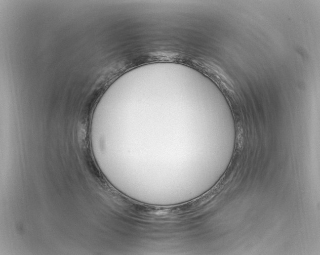 X0000116330365200912011010