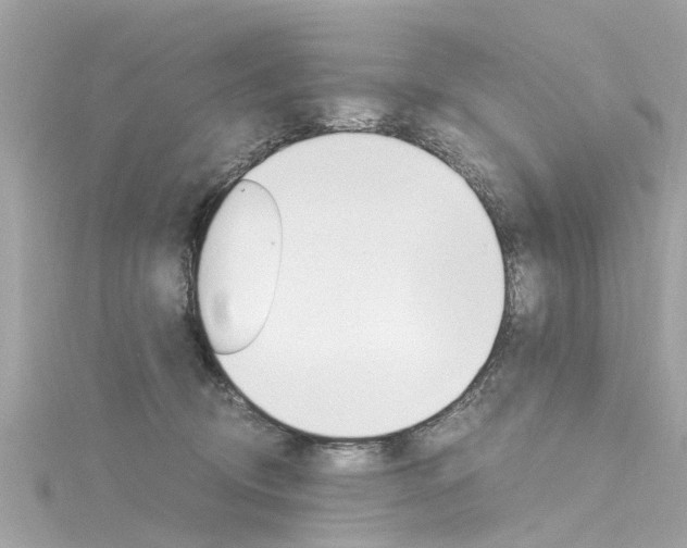 X0000116330370200912011010