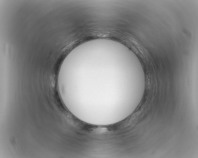 X0000116330374200912011010