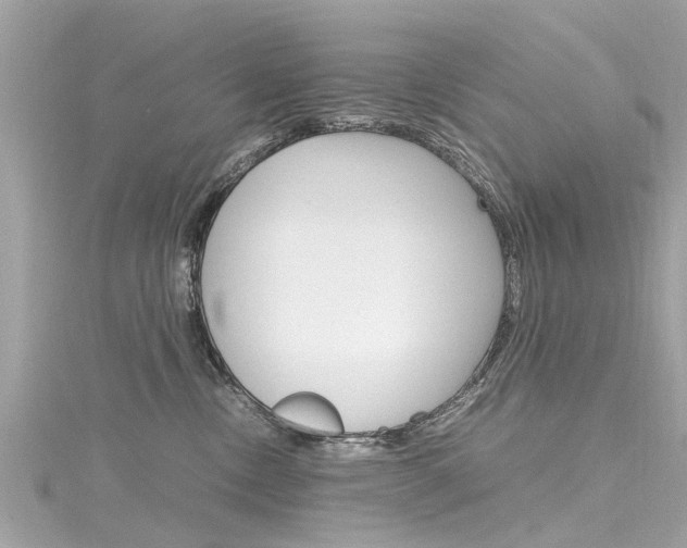 X0000116330378200912011010