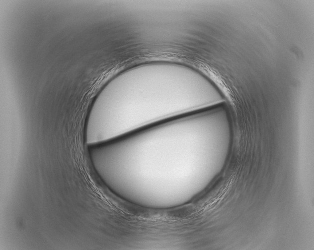 X0000116330385200912011009
