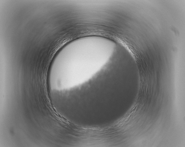 X0000116330386200912011009