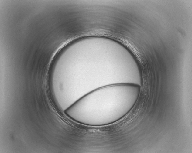 X0000116330392200912011009