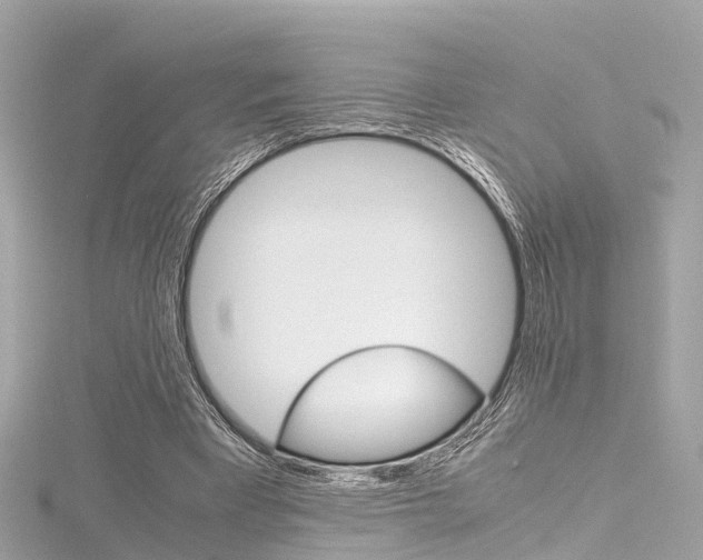 X0000116330393200912011009