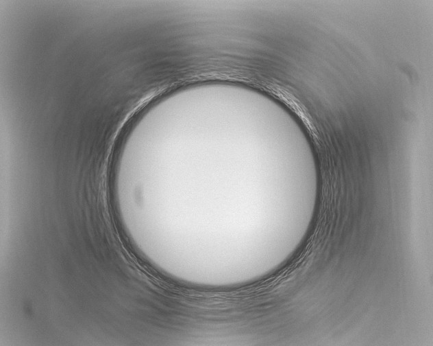 X0000116330395200912011009