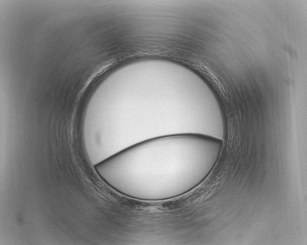 X0000116330396200912011009