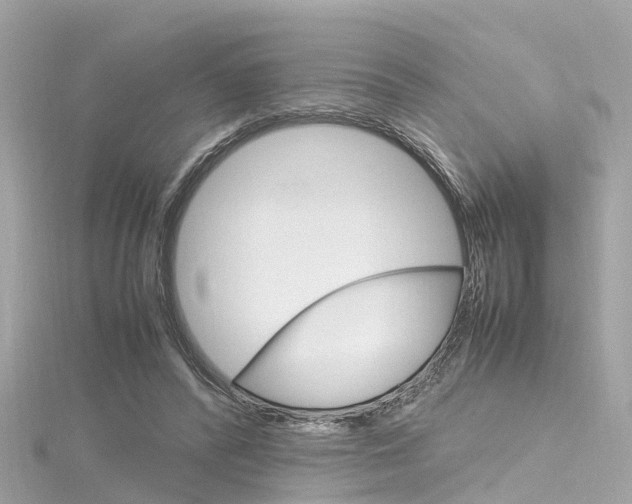 X0000116330400200912011009