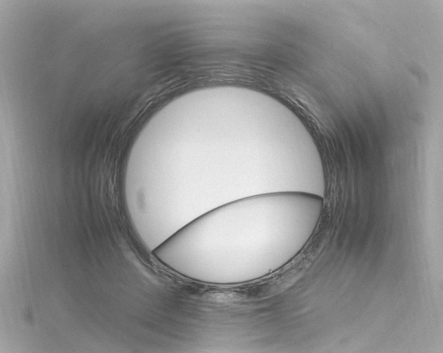 X0000116330408200912011009
