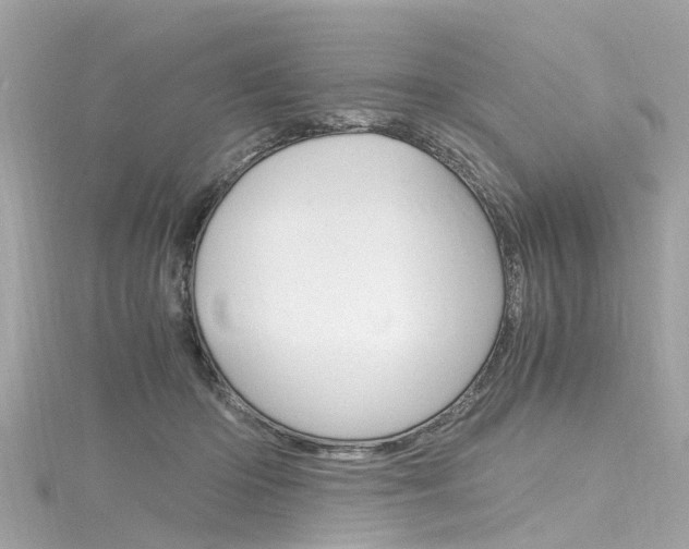 X0000116330414200912011009