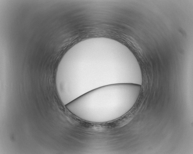X0000116330416200912011009