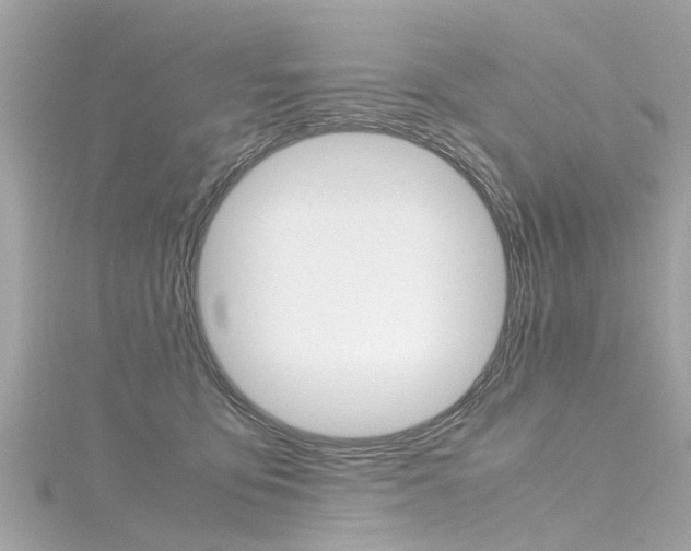 X0000116330419200912011009