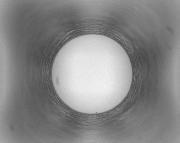 X0000116330421200912011009