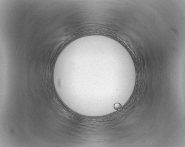 X0000116330423200912011009