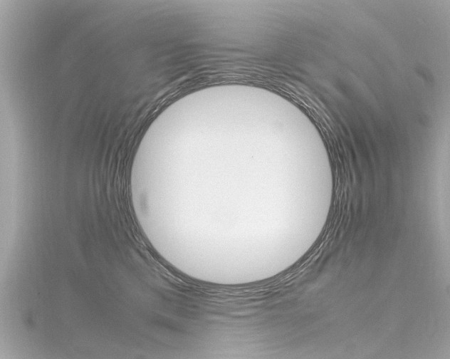 X0000116330425200912011009