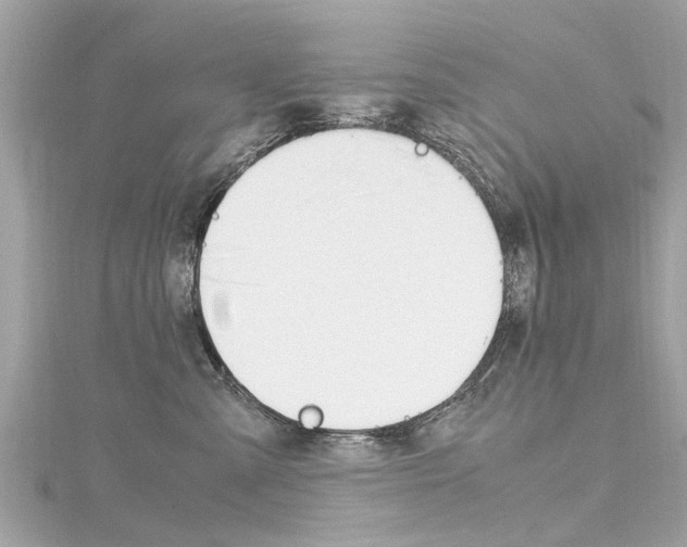 X0000116330427200912011009