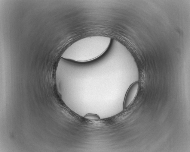 X0000116330428200912011009