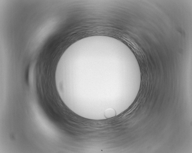 X0000116330429200912011009
